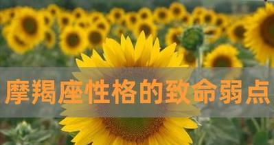 摩羯女致命吸引力有哪些？如何展现摩羯女的独特魅力？