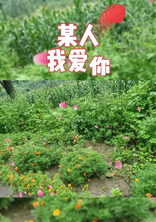 男朋友离家远在父母面前不上心？如何判断他的爱是否真诚？