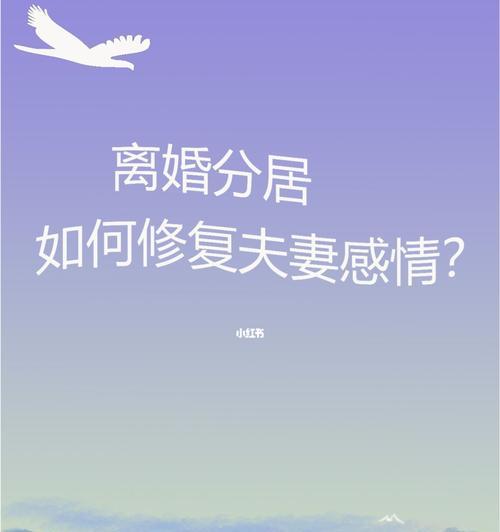 夫妻感情淡了如何修复？有效沟通和共同活动能否重燃爱火？