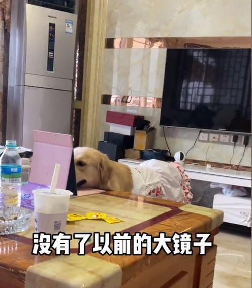 爱照镜子是一种重病吗？频繁照镜子的心理原因是什么？