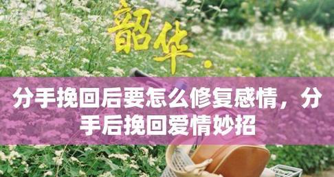 分手后约见面如何挽回感情？有效方法有哪些？