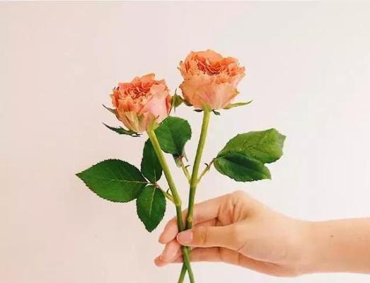 离婚后如何自我安慰？暖心话语有哪些帮助？