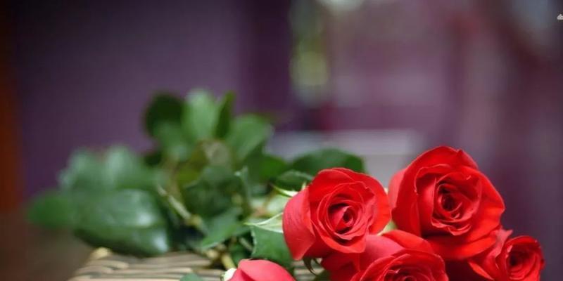 算命能挽回女朋友吗？如何通过占卜改善感情关系？