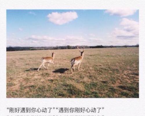 如何用简短的情话挽回婚姻？有效沟通技巧是什么？