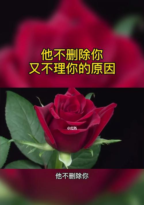 离婚后如何挽回对方的心？不理不睬怎么办？