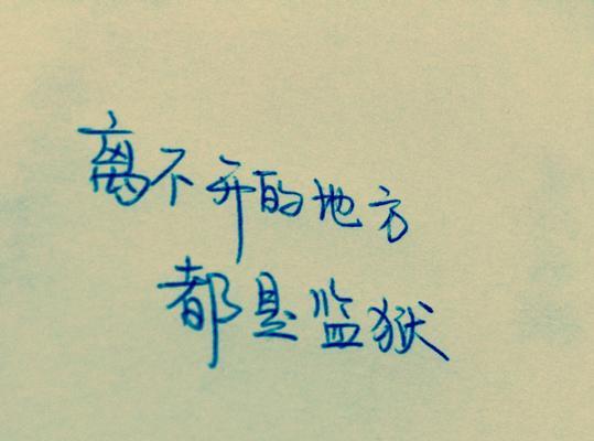 感情感言句子怎么写？有哪些打动人心的表达方式？
