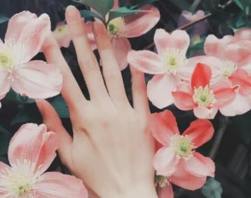 另一半的长相真的那么重要吗？测试你的择偶标准！