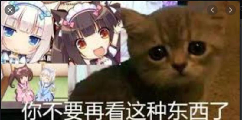 如何通过观察4个女孩的假哭来揭示你的内心世界？