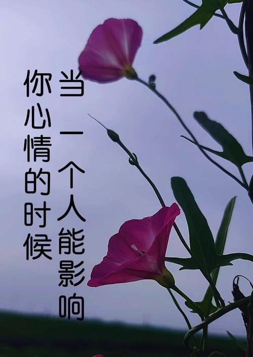 健康交流需要尊重他人意见（你是否喜欢强加自己的想法给别人）