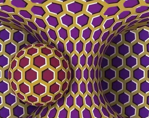测试你对生活的追求有多高？如何通过日常行为反映生活态度？