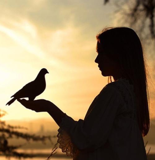 高攀不一定不幸福，如何拥抱真爱（爱情无分高低贵贱）