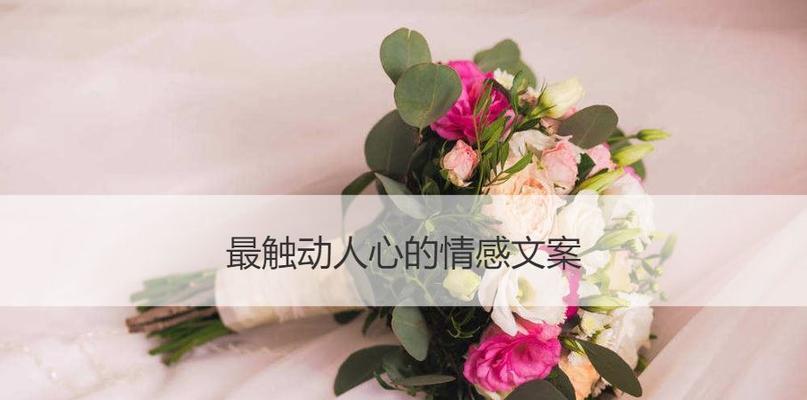 复合挽回的书本有哪些推荐？如何选择有效的挽回指南？
