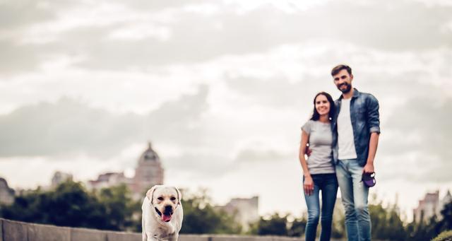 高情商人如何巧妙挽回婚姻（掌握情商技巧）
