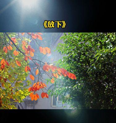 男生放下后有哪些表现？如何挽回他的心？