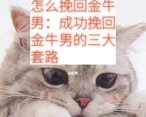 金牛座如何成功挽回分手对象（掌握5个有效技巧）