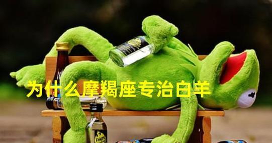 被摩羯座删除好友后如何挽回？有效策略是什么？