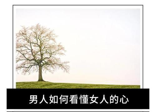 如何读懂男人心？揭秘男性心理的五个常见误区？