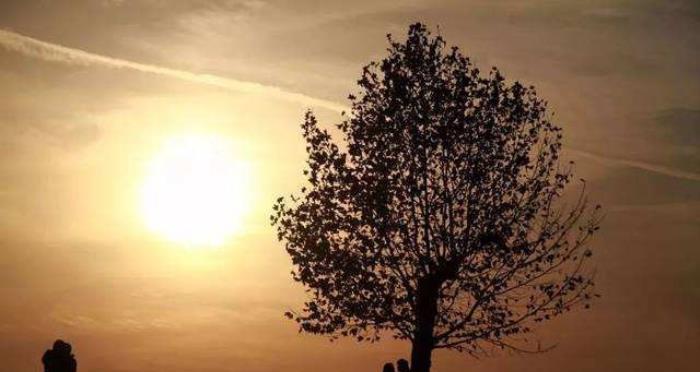 如何通过长辈帮忙挽回前男友（利用长辈的力量）