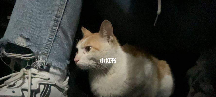 女友超粘人就喜欢亲啊抱啊的？如何应对过度亲密的行为？