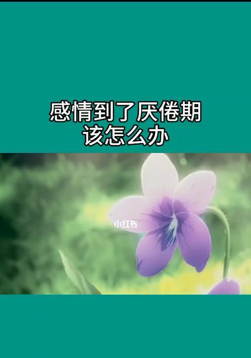 挽回追女失败的你必看（一场情感攻防战的15个策略与技巧）