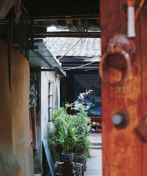 红墙绿瓦，诗韵山水间（探寻中国传统建筑之美）