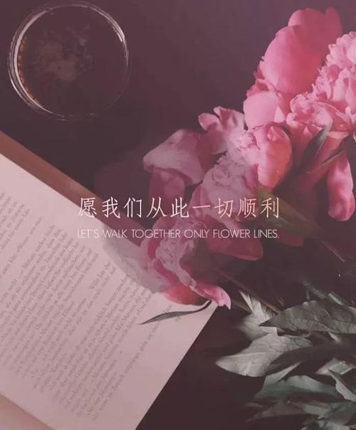 命运无常，情感难舍（以该来的总会来）