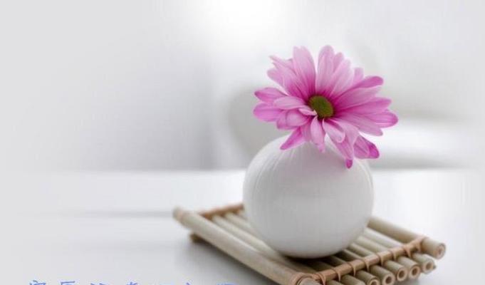 霸道爱情的挽回之路（一份真爱）